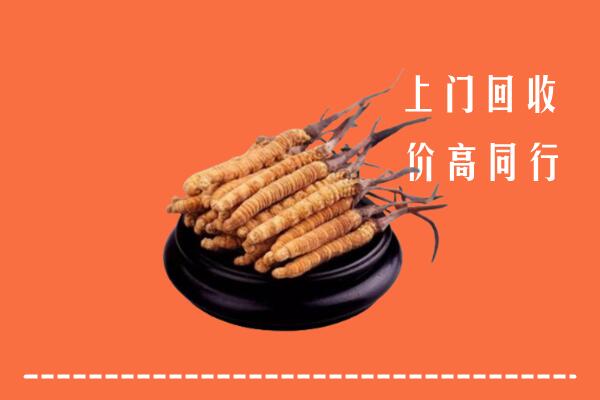 高价求购：昭通市回收散虫草