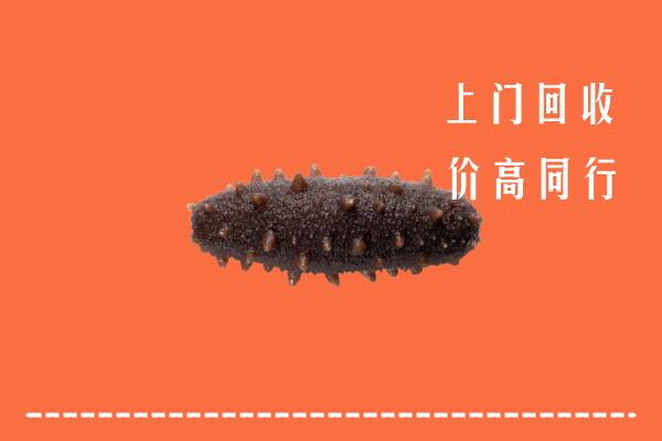 高价求购：昭通市回收海参