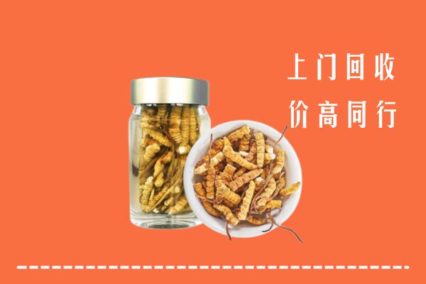 昭通市回收冬虫夏草